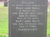 image of grave number 236633